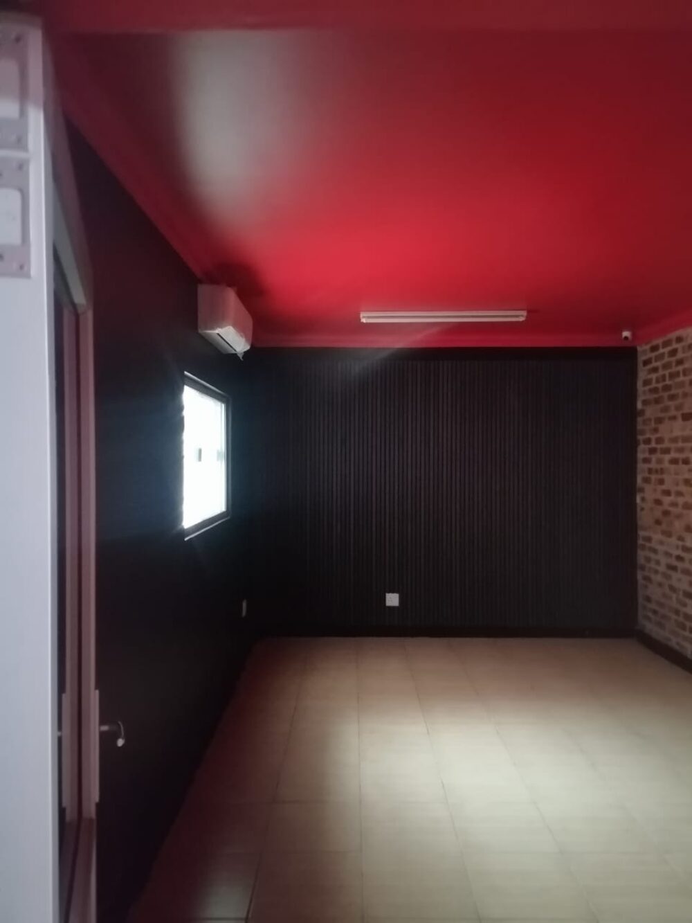 Ceiling painting work